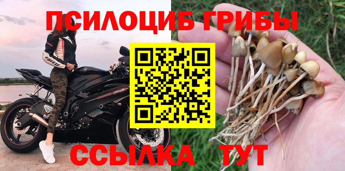 Галлюциногенные грибы Psilocybe  Вход с VPN  Арзамас 
