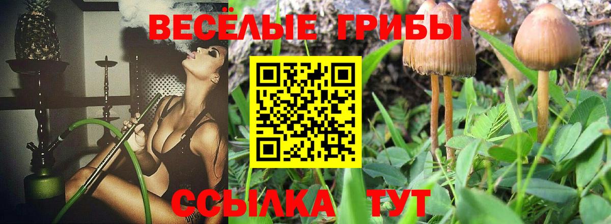 Псилоцибиновые грибы Magic Shrooms Арзамас